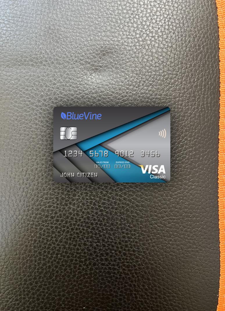 Download USA California BlueVine bank visa classic card photolook front Photoshop template